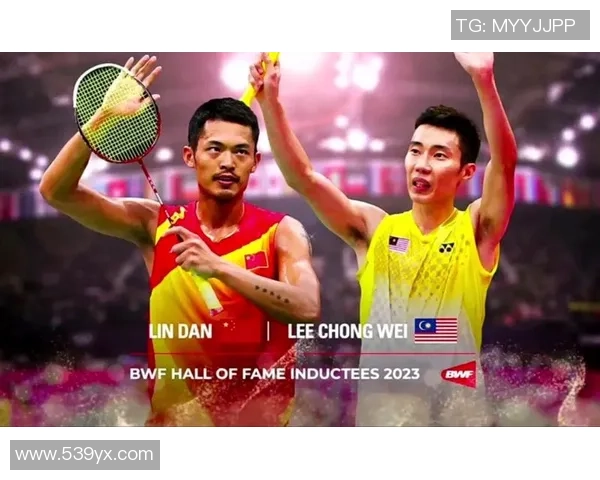 林丹与李宗伟在2014世锦赛的巅峰对决与羽坛传奇的精彩瞬间回顾